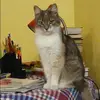 Отзыв от Валентина Козина